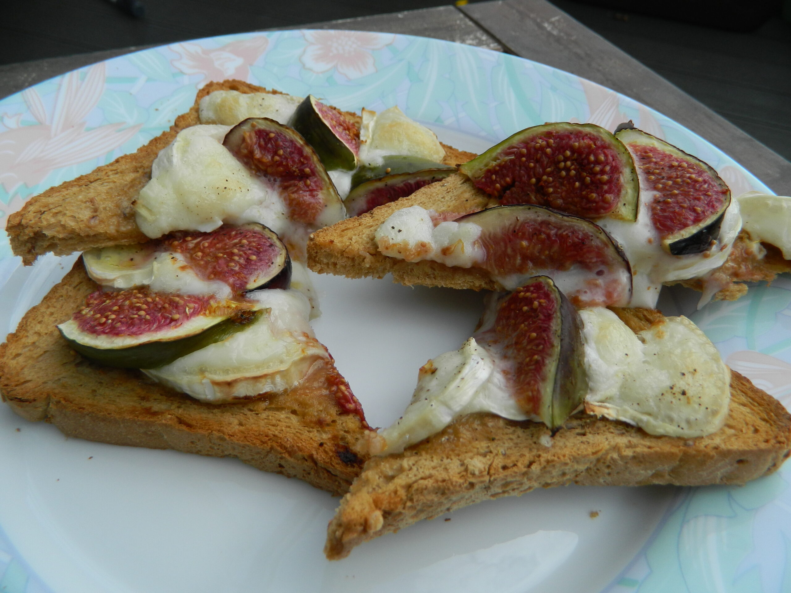 Goat Cheese and Fig
